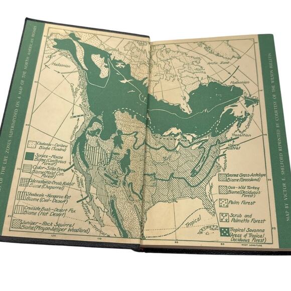 Audubon Bird Guide Eastern Land Birds by Richard H Pough1st Edition 1946 - Picture 6 of 10